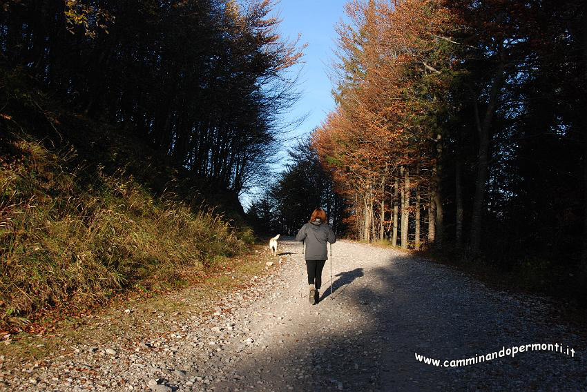 09 12916 Percorriamo il tratto di strada che porta al Pian della Palla.JPG